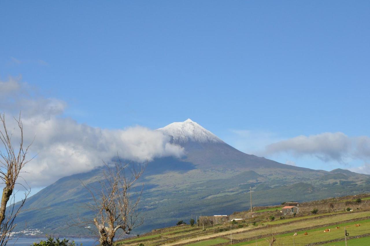 Casa da Abrótea Villa Lajes do Pico Exterior foto