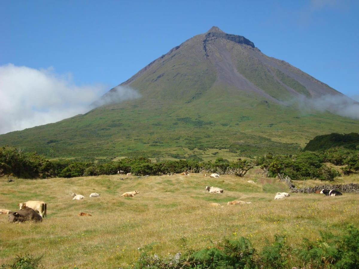 Casa da Abrótea Villa Lajes do Pico Exterior foto